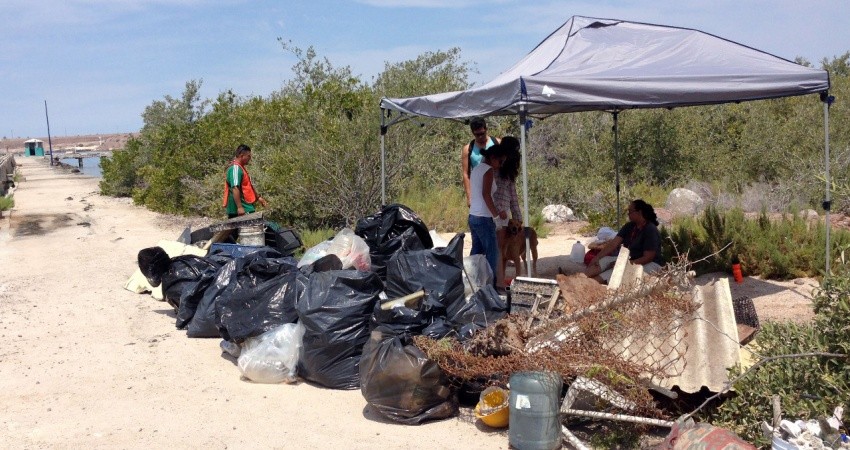 Coordina UABCS jornada de limpieza de playa para este fin de semana 