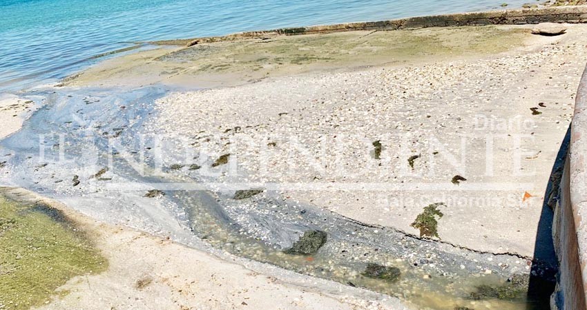 Descarta Coepris presencia de aguas negras en el malecón de La Paz