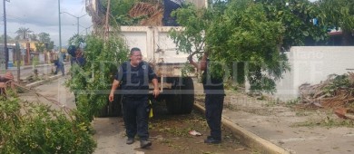 Los Planes, El Sargento y La Ventana, las localidades más afectadas de La Paz