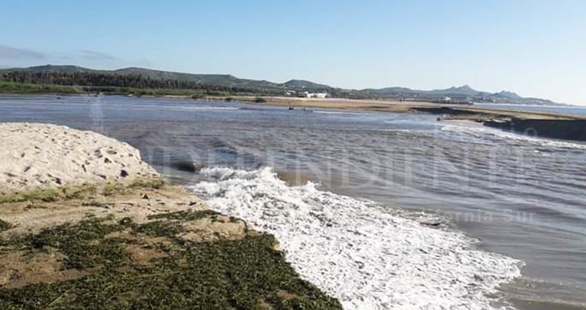 Denuncian a funcionarios por incompetencia al proteger el Estero de San José 