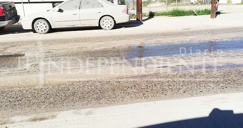 Cabo San Lucas está infestado de aguas negras, advierte Óscar Leggs  