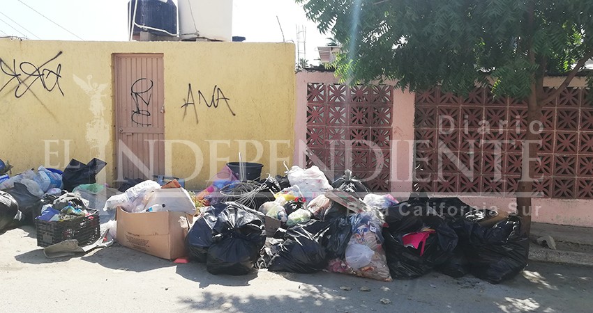 Adolecen de servicios públicos vecinos de colonias Arco Iris y Acuario en CSL