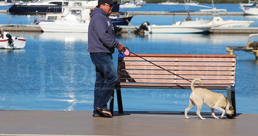 No se prohibirá visitar el malecón de La Paz con mascotas