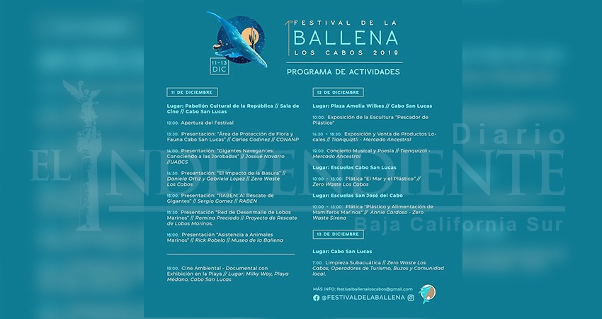 Conferencias, cine y limpieza subacuática durante el Festival de la Ballena 2019