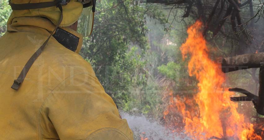 Tras años de lucha, bomberos de Los Cabos logran aumento salarial a partir del 2020