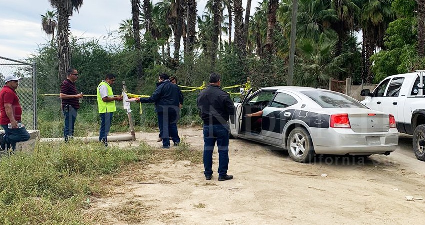 Acusan al ayuntamiento de coludirse y permitir "huerto tóxico” en Todos Santos