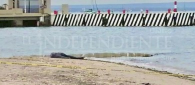 Localizan un hombre sin vida flotando frente al Hotel Perla de La Paz