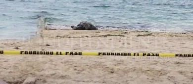 Localizan un hombre sin vida flotando frente al Hotel Perla de La Paz