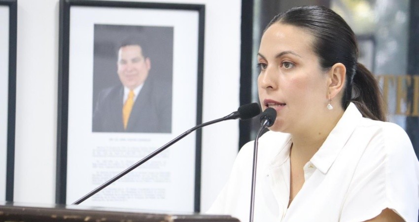 Que los hospitales permitan a las madres estar acompañadas durante el parto: Dip Milena Quiroga 