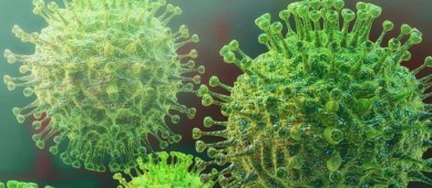 Por el momento BCS está libre de Coronavirus: SSA