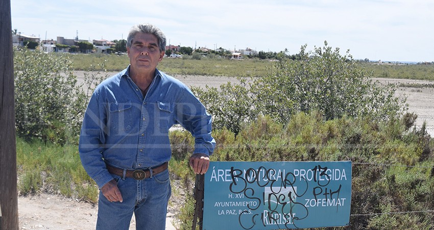 Destruyen parte del manglar del Conchalito