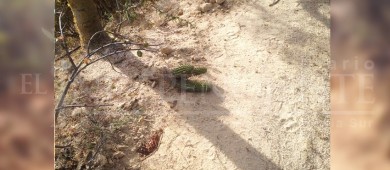 ¡Que las autoridades hagan algo!, denuncian daños ambientales en Sierra La Laguna 