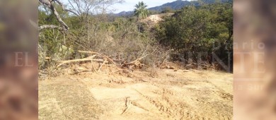 ¡Que las autoridades hagan algo!, denuncian daños ambientales en Sierra La Laguna 