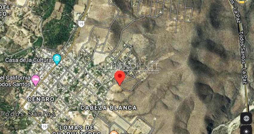 Busca el Ayto de La Paz subastar "en línea” de 887.68 hectáreas, propiedad municipal