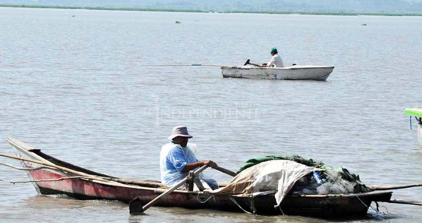 COVID-19: Piden regidores “abrir” pesca a partir del 1 de junio