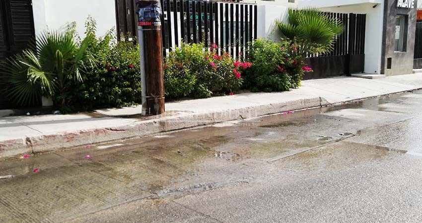 Ciudadanos le entran “al quite” a los problemas de drenaje y fugas en CSL