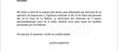 Hay alerta en playas de La Ribera por presencia de tiburones