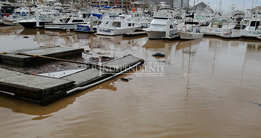 Sin mayor afectación por "Genevieve" el recinto Portuario de CSL  