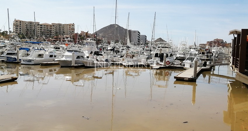 Comunidad turística se une para limpiar centro y Recinto Portuario de CSL