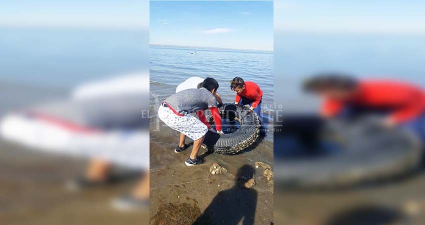 Iniciativa ciudadana Mar Libre ha retirado 100 tons. de basura de costas de La Paz 