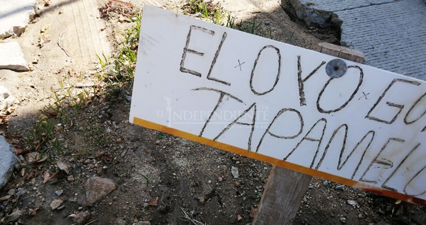 Milagro en calle de CSL: baches sin reparar se convierten en jardines  