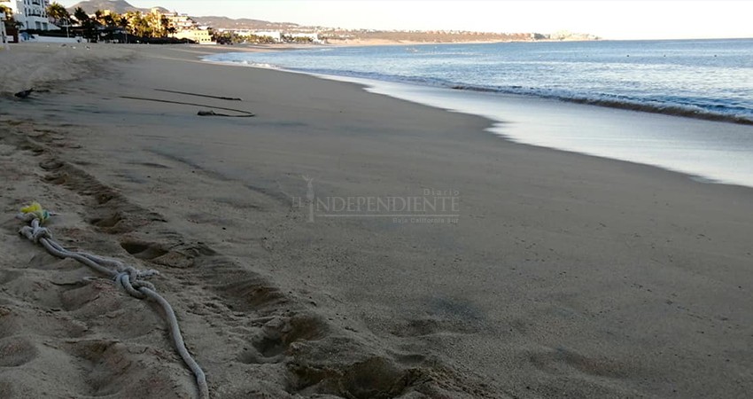 Las desaladoras de agua afectan al medio ambiente: Biólogo  