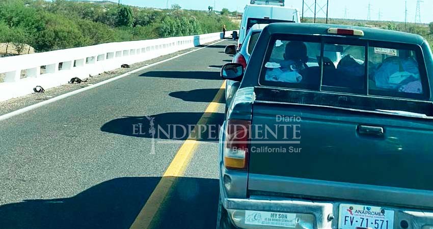 Ante bloqueo, advierte Conagua cancelación de obra en Las Pocitas 