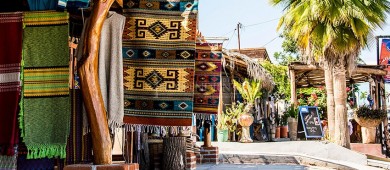 Noviembre, mes del Turismo Alternativo en la UABCS