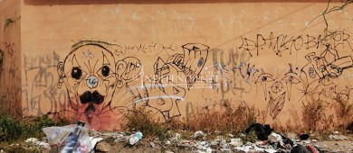 Cabo San Lucas, una ciudad distinta a la del informe de Armida Castro