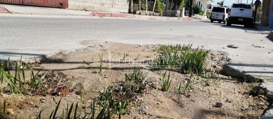 Cabo San Lucas, una ciudad distinta a la del informe de Armida Castro