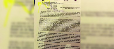 Piden al IEE candidatos sin antecedentes de violencia familiar, acoso o deudas alimentarias