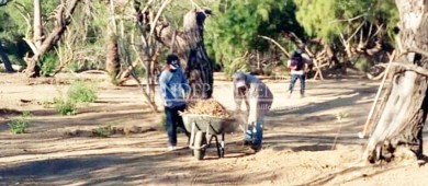 Niega Gobierno de BCS terreno para construcción de espacios deportivos 