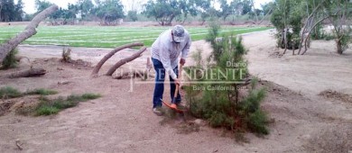 Niega Gobierno de BCS terreno para construcción de espacios deportivos 