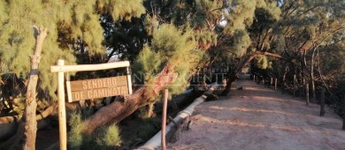 “Este, es el primer gran pulmón verde de La Paz”: Alcalde de La Paz entrega Eco Parque