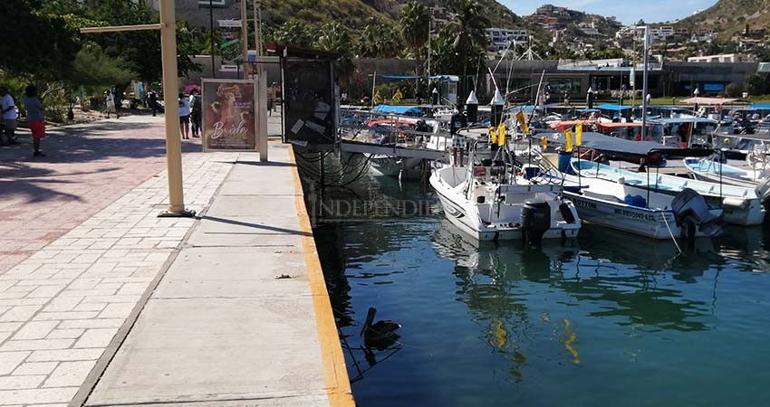 Caos marítimo en Recinto Portuario de Cabo San Lucas  