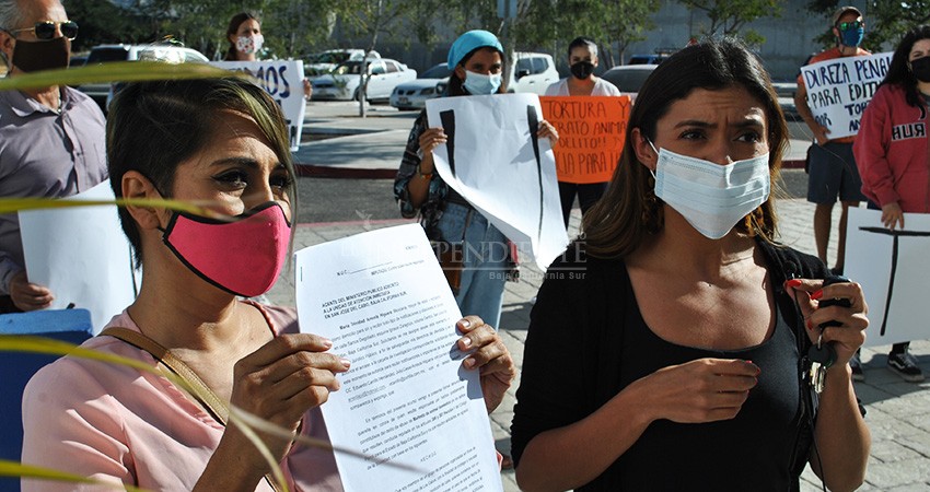 No más carpetazos ni casos aislados; urgen mejores leyes para protección de animales