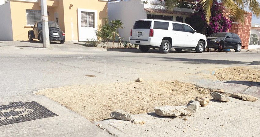 En Villa Bonita los baches que no repara OOMSAPAS crecen en tamaño y vegetación 