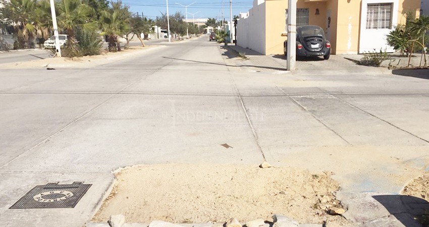 En Villa Bonita los baches que no repara OOMSAPAS crecen en tamaño y vegetación 