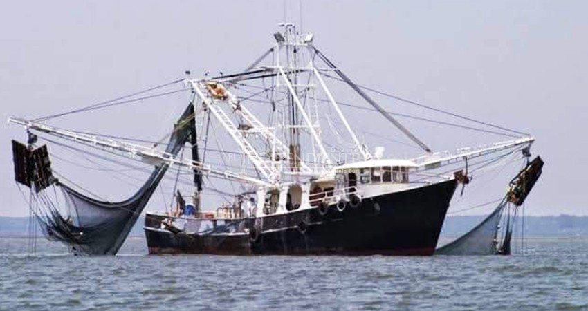 Denuncian depredación de peces atribuida a barco camaronero a pocas millas de Cabo del Este  