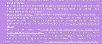 Colectivas exigen acciones ante violencia feminicida en BCS