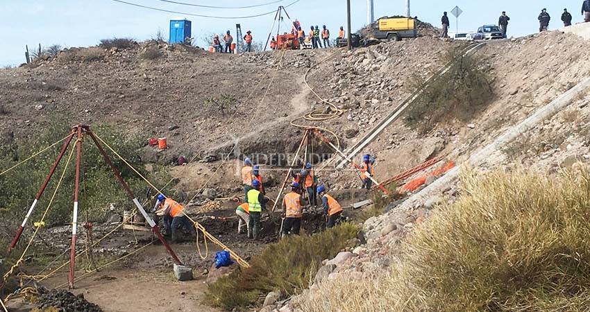 Costa Salvaje formaliza denuncia por daño a manglares en la carretera a Pichilingue