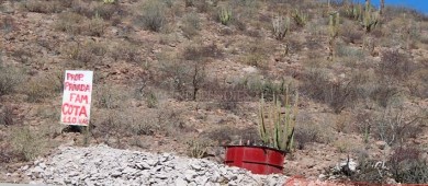 Reconoce SCT daño causado a manglares en La Paz-Pichilingue