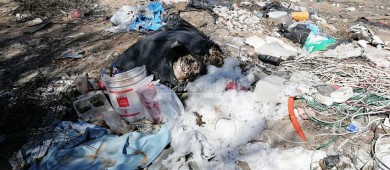 Exigen ciudadanos limpieza en el arroyo de la colonia El Calandrio