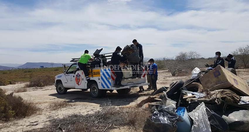 Hasta 100 voluntarios se unieron para sacar basura de los manglares en Chametla