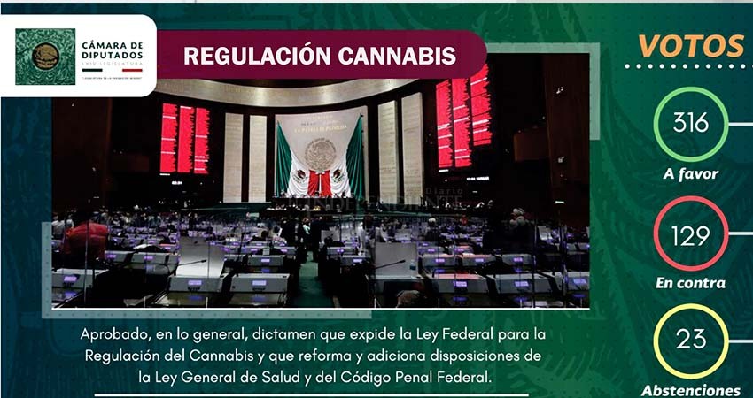 Diputados aprueban la regulación del cannabis; legisladores Sudcalifornianos piden tratamiento obligatorio