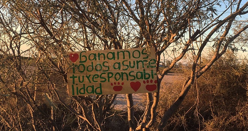 Visita el manglar de El Conchalito, pero llévate tu basura y la de tu perro: invitan