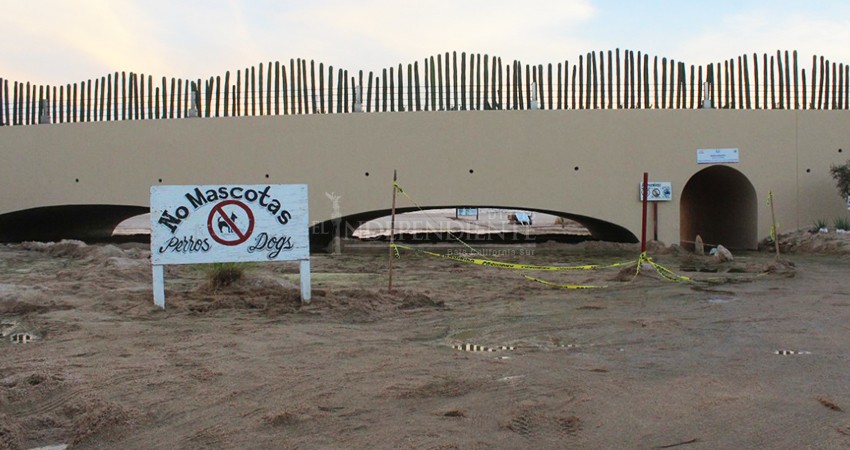 Arturo de la Rosa perfeccionó los procesos para el puente Las Viudas: Síndico 