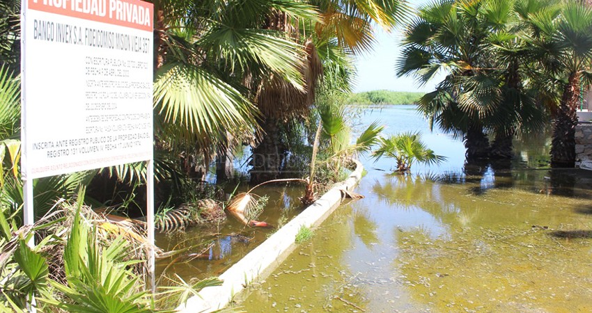 Fonatur tiene permisos para verter aguas tratadas en el Estero: Regidor 