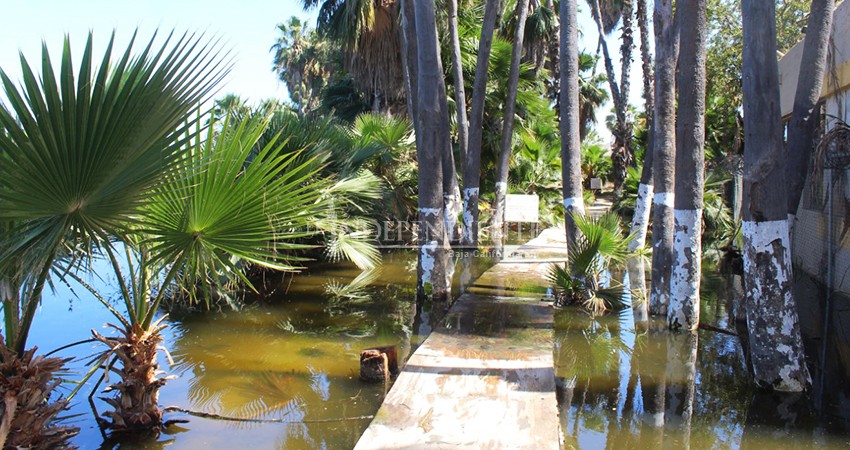 Fonatur tiene permisos para verter aguas tratadas en el Estero: Regidor 