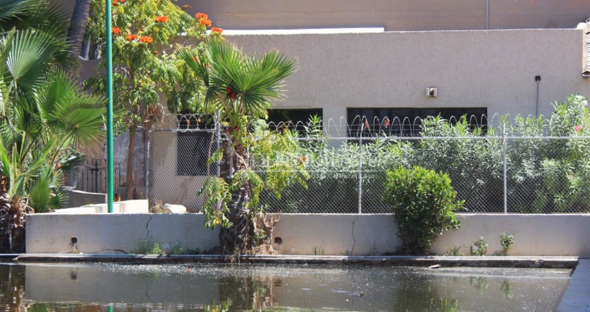 Fonatur tiene permisos para verter aguas tratadas en el Estero: Regidor 